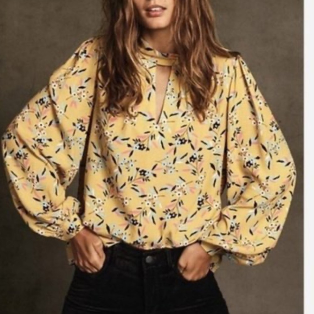 Maeve Anthropologie Meadowsweet Long Sleeve Floral Blouse